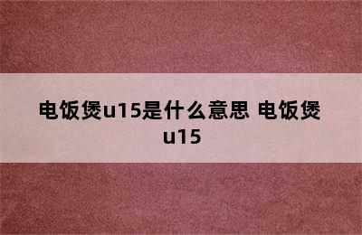 电饭煲u15是什么意思 电饭煲 u15